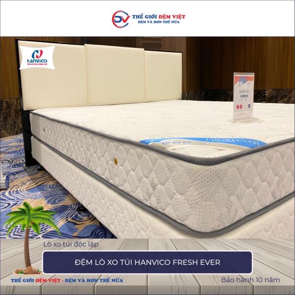 Đệm lò xo túi Hanvico Fresh Ever 3